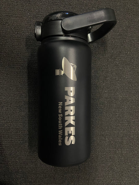 Dish Stainless Steel Drink Bottle