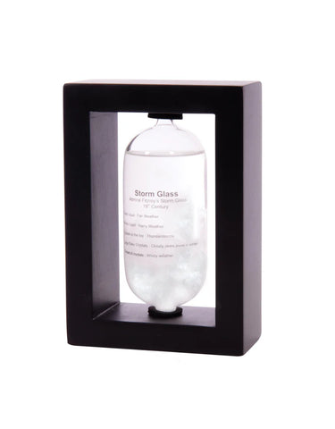 Capsule Weather Station