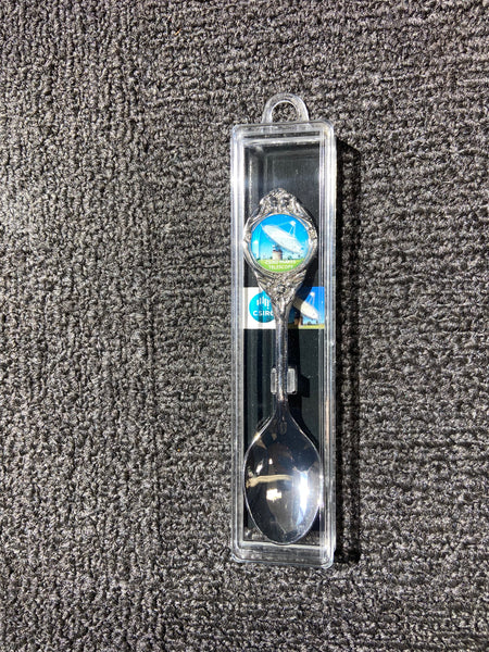 Dish Souvenir Spoon