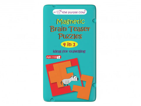 Magnetic Brain Teaser Puzzles