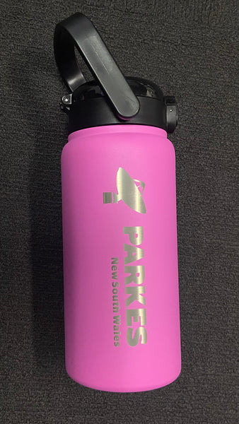 Dish Stainless Steel Drink Bottle