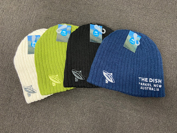 The Dish Beanie