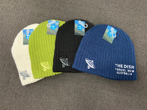 The Dish Beanie