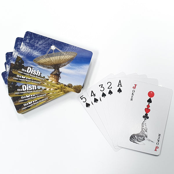 The Dish Playing Cards