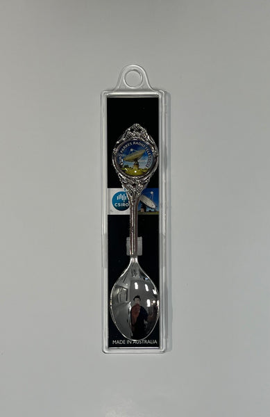 Dish Souvenir Spoon