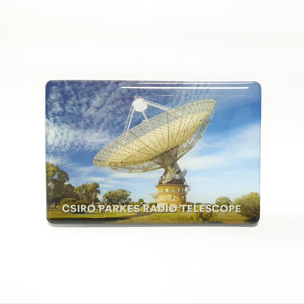 The Dish Resin Magnet