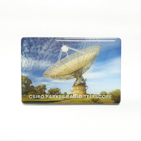 The Dish Resin Magnet