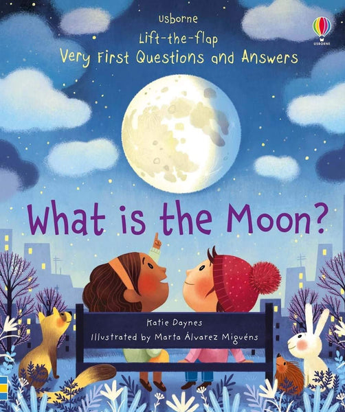 What is the Moon? Lift-the-flap board book